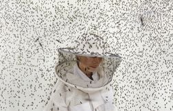 Les plus belles photos du Prix de Photographie Environnementale 2026